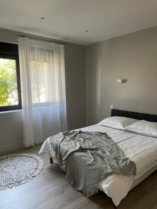 Apartment 1 Confort&Modern أراد المظهر الخارجي الصورة